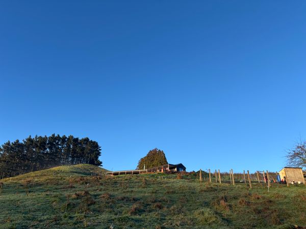 La maison de Amy