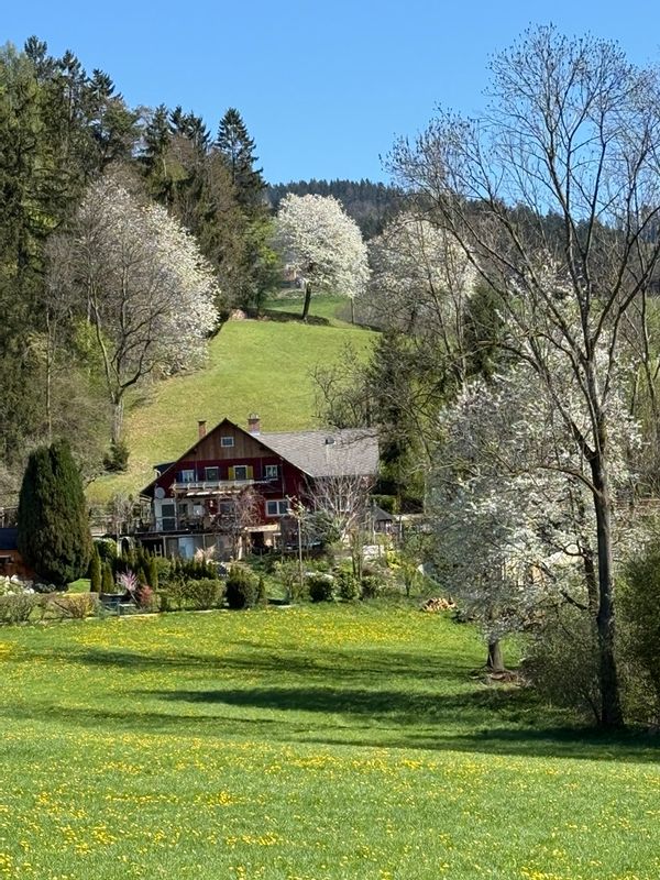 La maison de Hubert