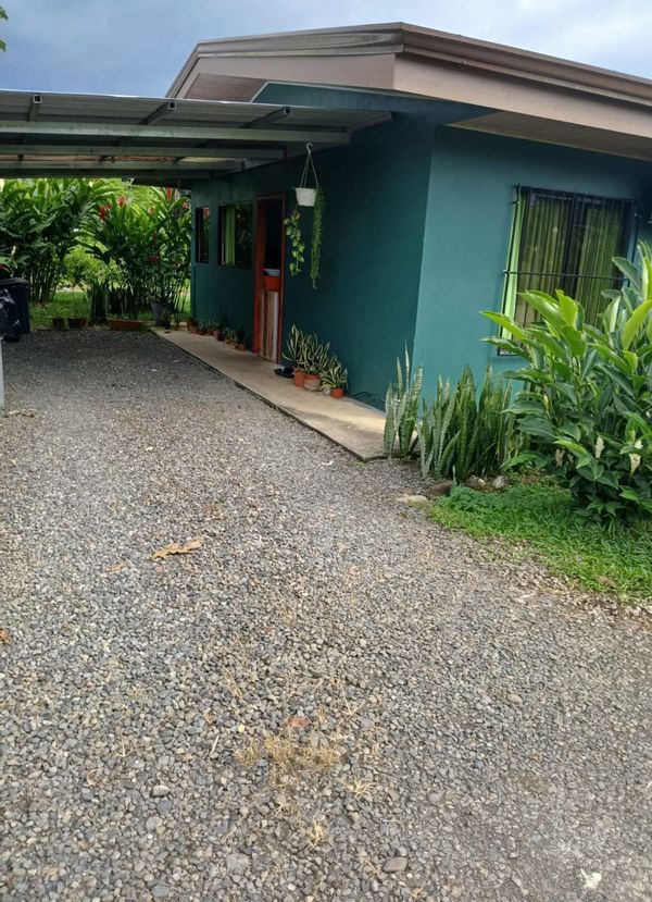 La maison de Jefry es lugar privado cerca de una zona verde donde se puede observar flora y fauna