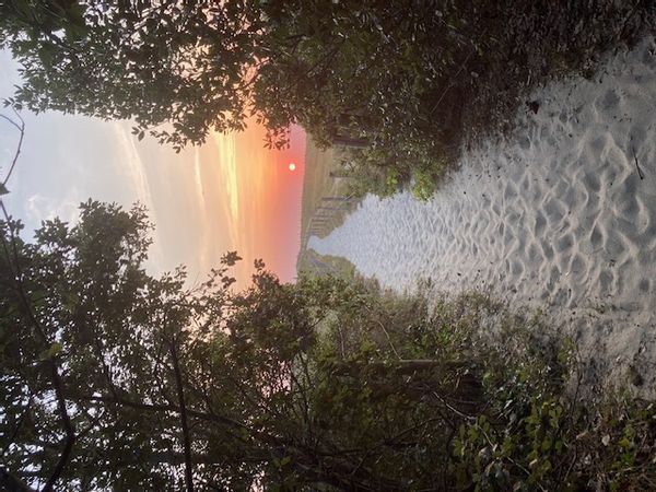 "La maison de Lily  et Pascal sur la presqu'ile de Rhuys dans le golfe du Morbihan" à Sarzeau