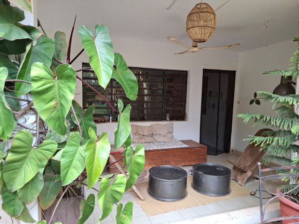 Petit coin de verdure à  Dakar
