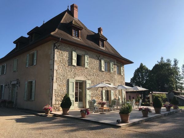 Les grands feuillages.