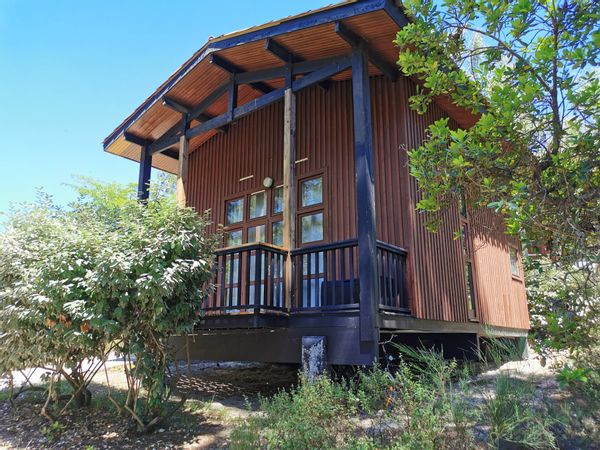 Maison en bois au milieu des pins entre océan et lac