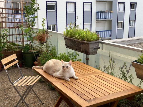 Appartement lumineux à Perpignan