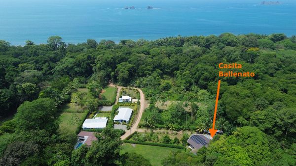 À 3 min à pied de la plage Playa Ballena – Suite king avec kitchenette et jardin tropical