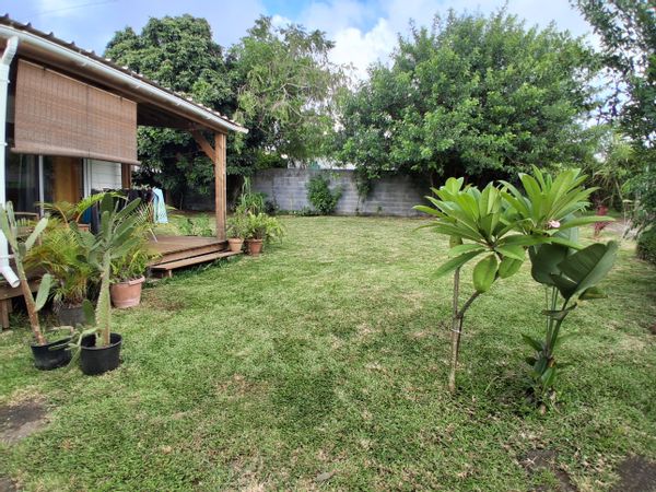 Le bungalow de Sandra et Julien est au calme et au vert, de 20 mètres carrés avec terrasse couverte.