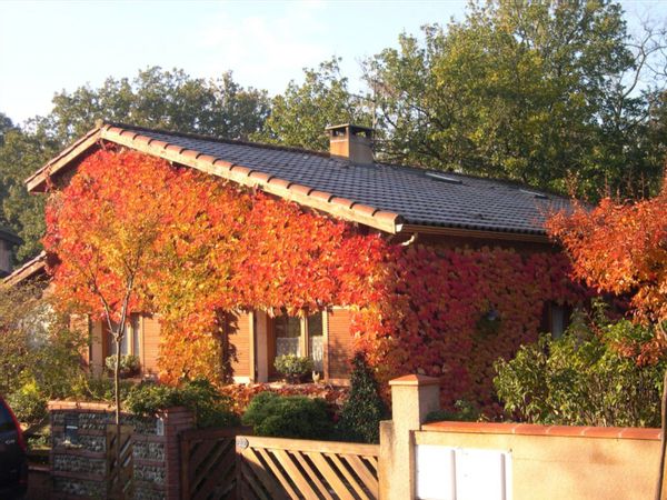 La maison Rue des Biches