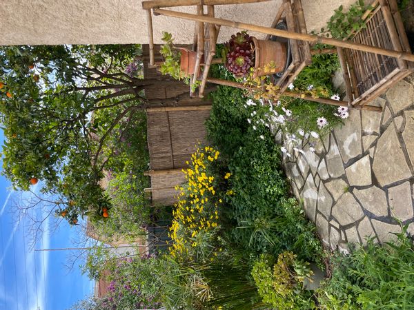 L'appartement sur jardin de Sophie est située à 100m des plages, des commerces et de la gare