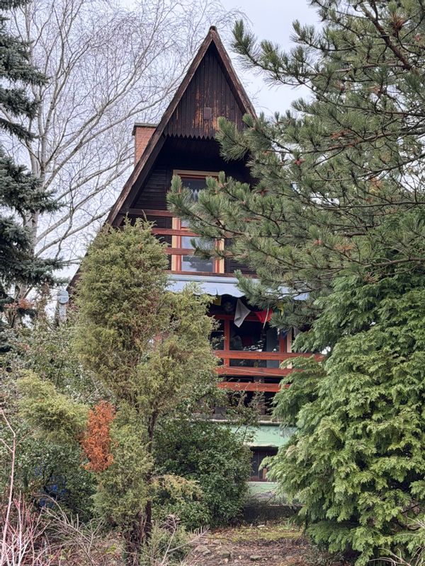 La maison de Zsolt