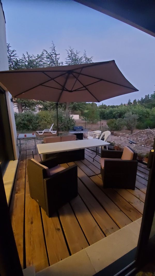 un olivier en provence