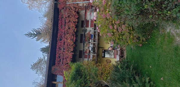 La maison de Vanda