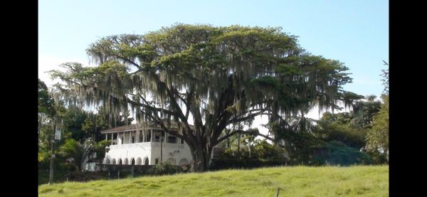 La maison de Ernesto