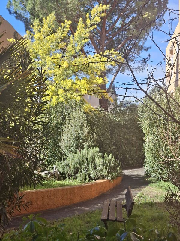 La maison de Odile en provence
