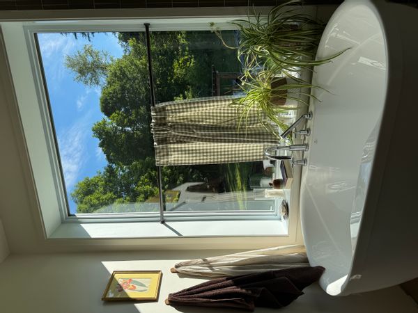 La maison Plante Fauve
