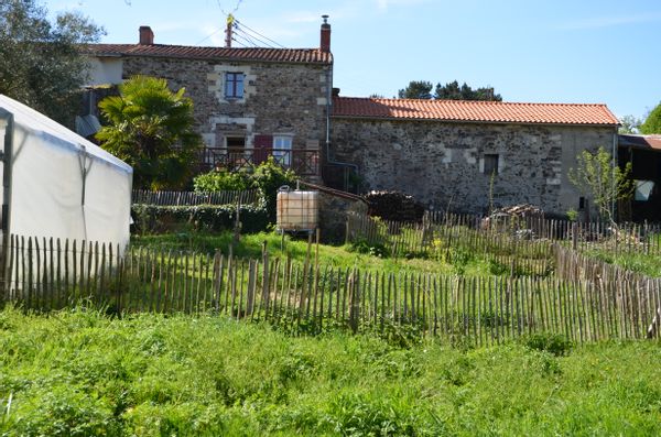 Maison dans le vignoble Nantais/House in Nantes vineyards