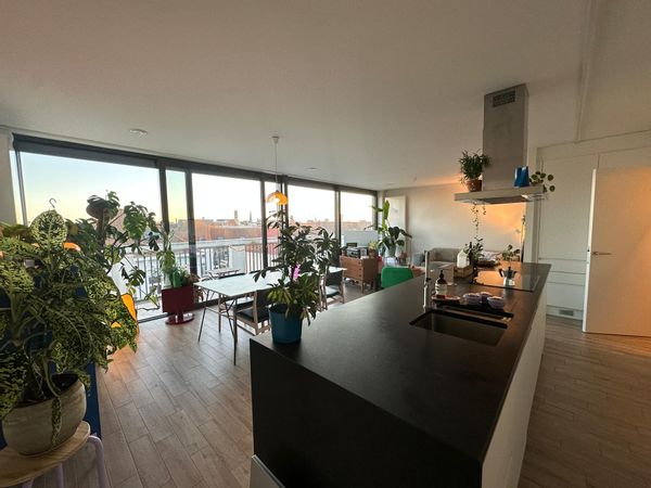 La maison de Stijn