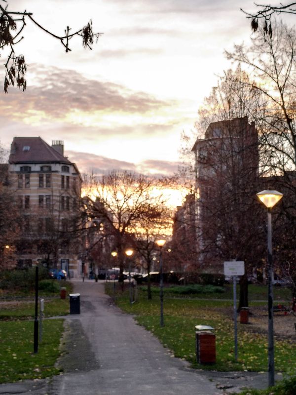 Appartement dans les arbres à 5 min d'une gare