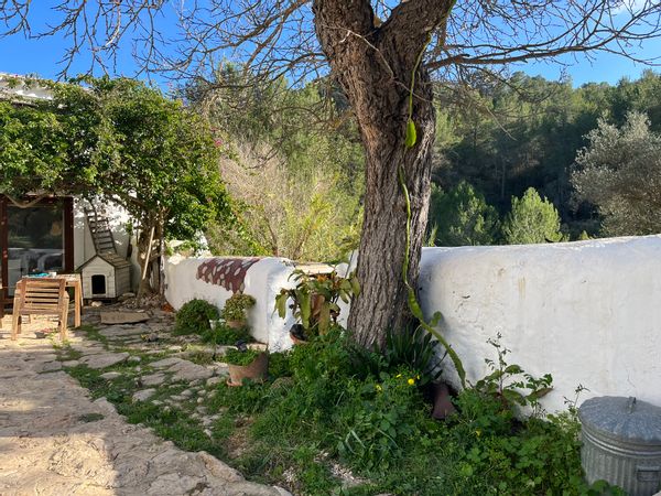 La maison de Zazu
