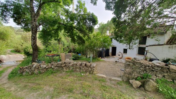 La maison de Mike
