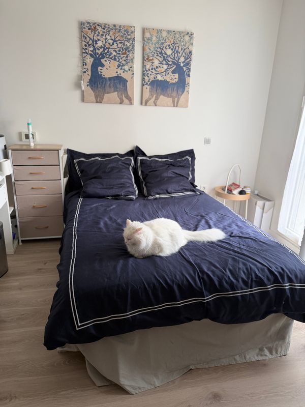 Romijouse
