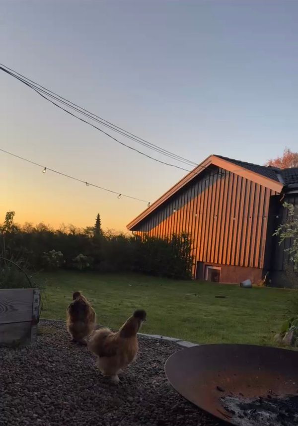 La maison de Maren Elise