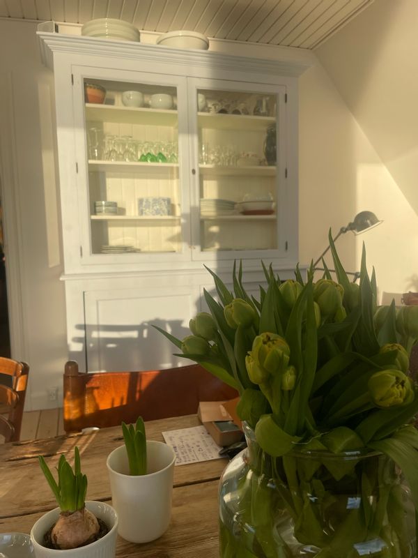 La maison de Sophie