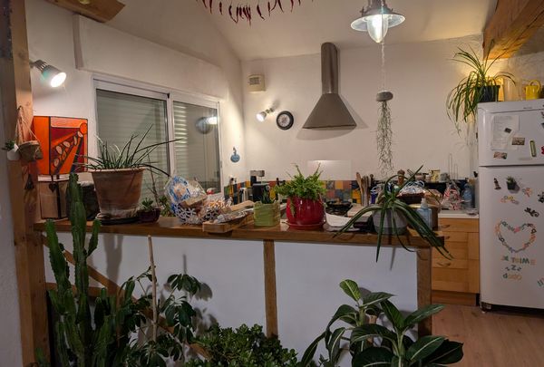 La maison de Vincent