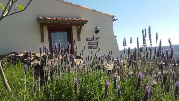 La maison de Andrés