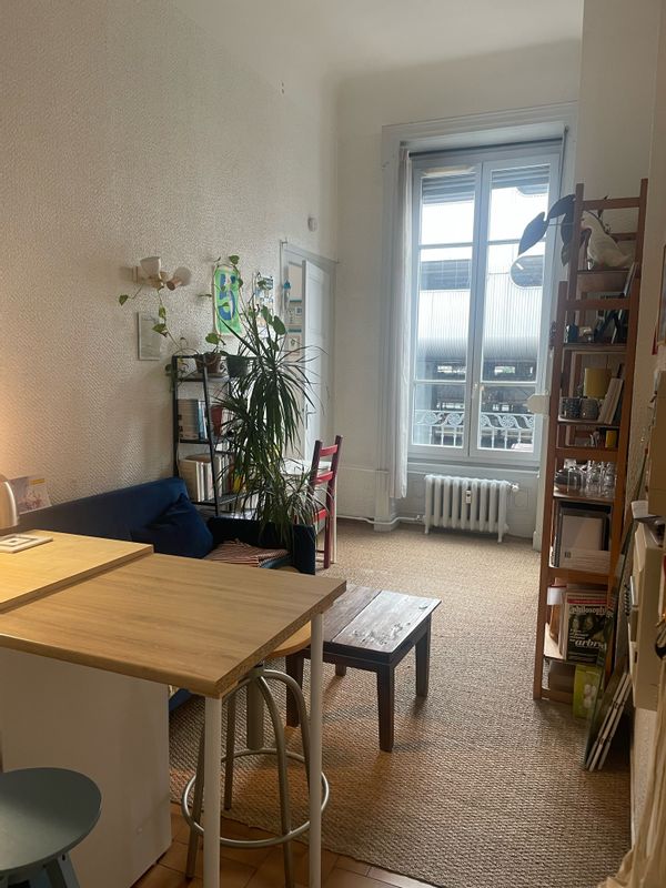 Petit appartement cosy au cœur de la presqu’île de Lyon.