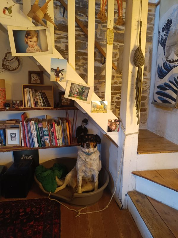 La maison de Framboise est en pierre très agréable et cosy avec un atelier attenant et une prairie