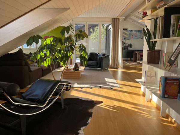 Modern rooftop flat at the foot of the Uetliberg, Zurich Less than 10 min from the center and lake