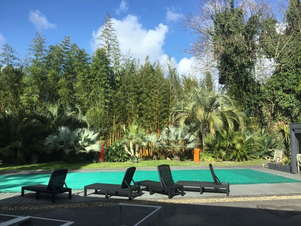 La maison de Helene et Hubert est une maison ancienne rénovée contemporaine dans un jardin tropical