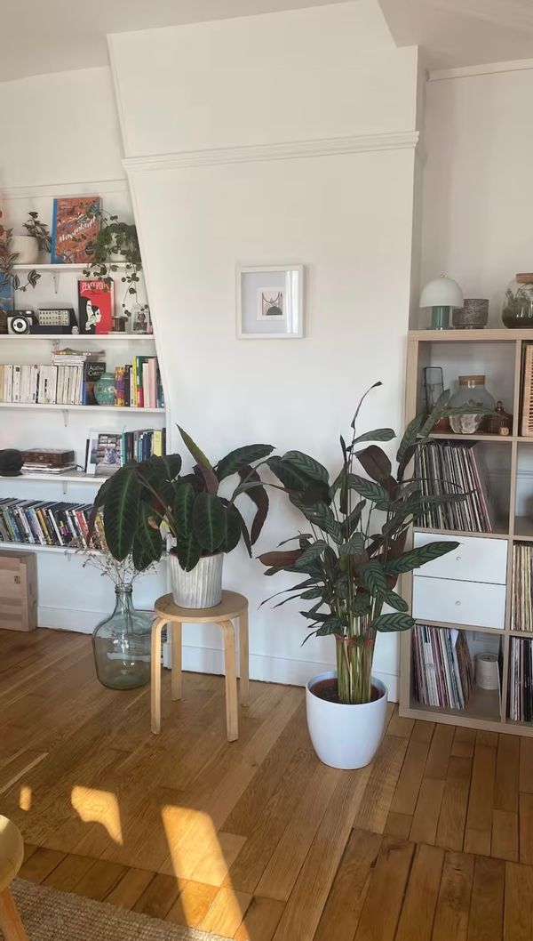 L’appartement de Fatiha