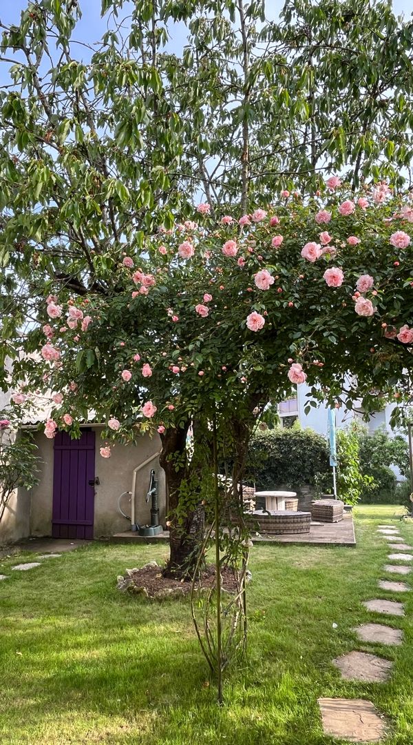 Maison avec jardin à Poitiers