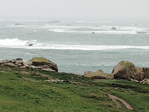 Chambre chez l'habitant, 4 km bord de mer, dans petite ville bien achalandée, jardin privatif