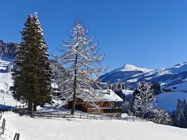Chalet Allegro