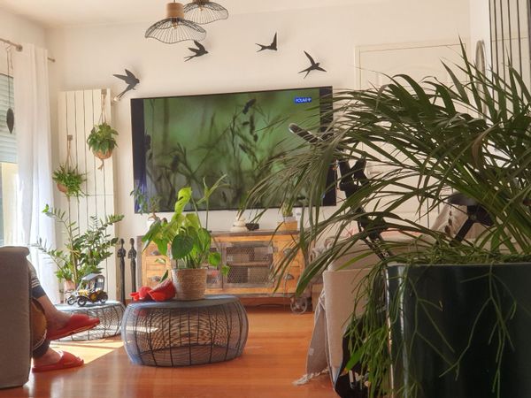 La maison de Laurence vous accueille dans un paysage arboré + piscine, à proximité de Bordeaux.
