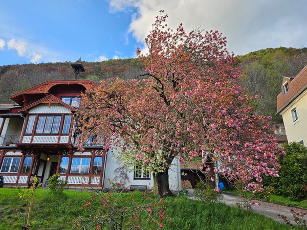 La maison de Loic & Elisabeth