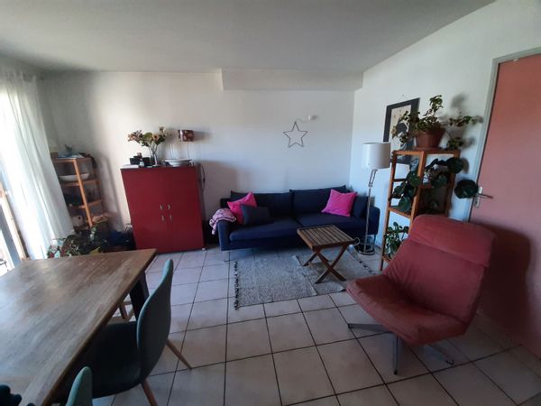 La petite maison de Ziggy