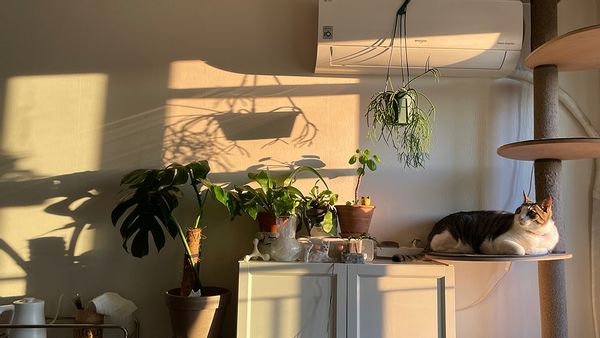 La maison de SOONYOUNG
