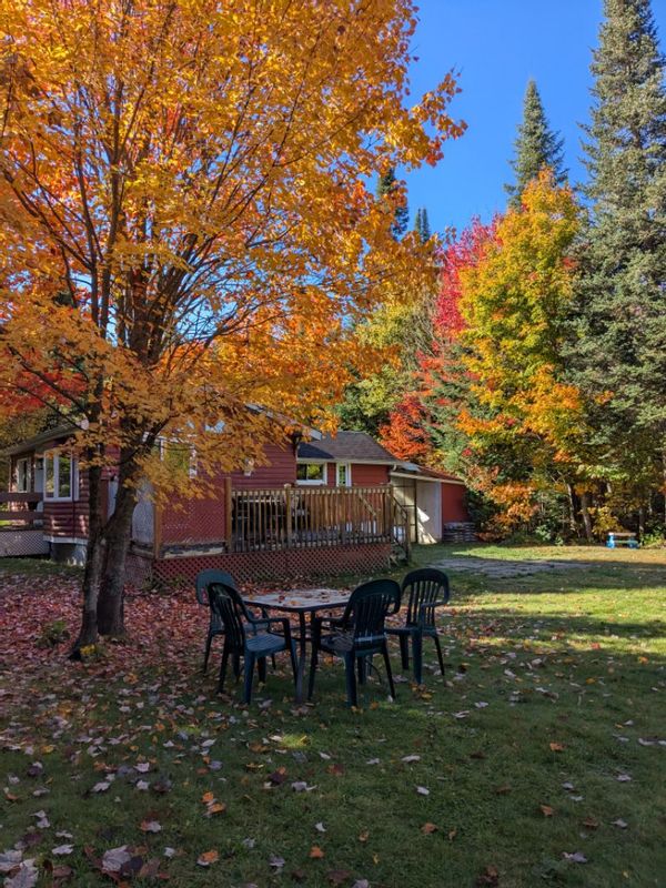 Chalet entouré de nature