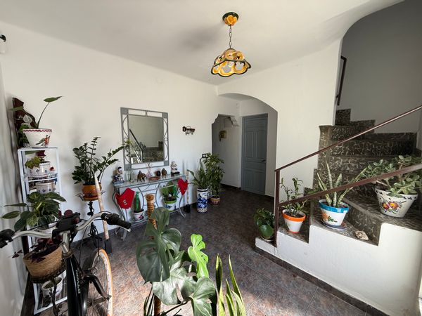 La maison de Mario