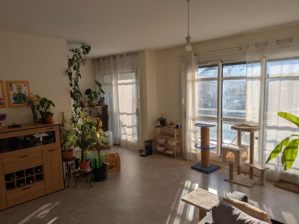 Appartement lumineux avec vue montagne, plein de plantes, deux chats, près du centre.