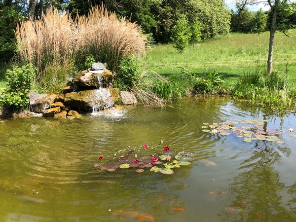 Les Roches. Belle propriété 5 Ha. 2 maisons, Piscine, Poolhouse, Babyfoot, trampoline, balançoire.