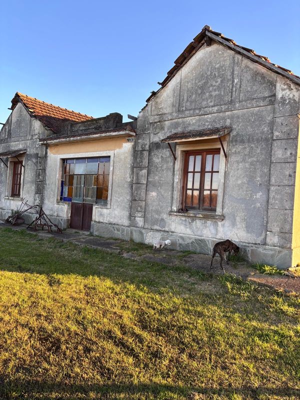 La maison de Santiago