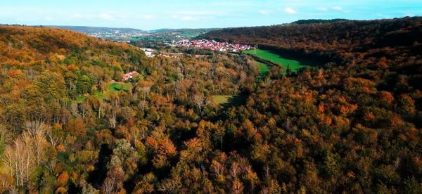 Maison au cœur de la forêt dans un domaine privé - Idéal amoureux de la nature & animaux