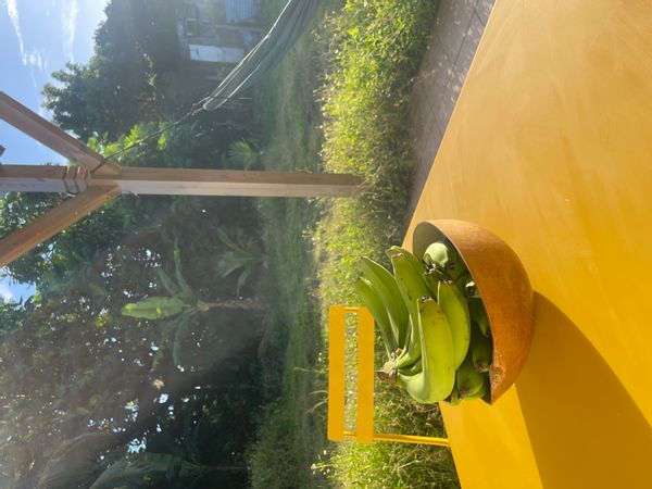 La maison de Marina au cœur d’un jardin kreyol en Guadeloupe