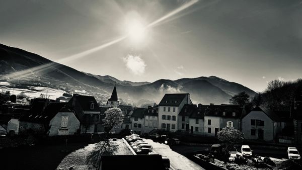 Nid à la montagne