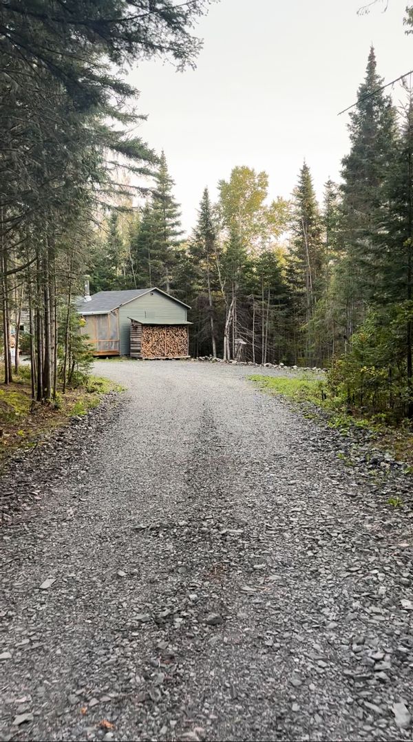 La Maisonnette en forêt – Connexion à l’Essentiel