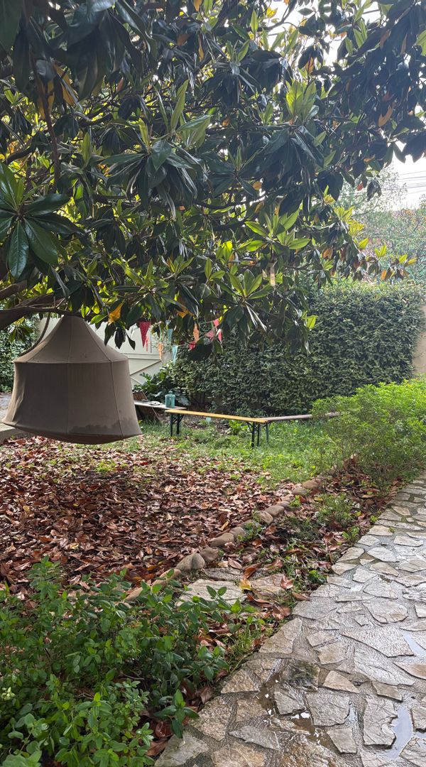 La magnolia